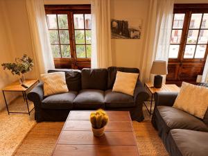 Χώρος καθιστικού στο Emblematic Canarian House +30 φωτογραφίες