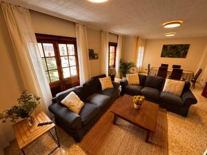 Χώρος καθιστικού στο Emblematic Canarian House