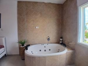 Ένα μπάνιο στο נופש ליד הים +5 φωτογραφίες