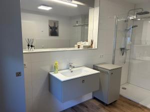 ein weißes Badezimmer mit Waschbecken und Dusche in der Unterkunft Ferienwohnung in Erfurt + 7 Fotos