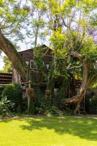 uma casa com uma árvore no quintal em LA Guesthouse em Piet Retief