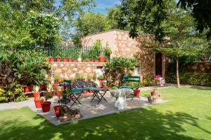 Vườn quanh Bassi House - A Boutique Homestay