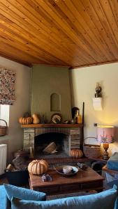 Fotografie z fotogalerie ubytování Capris Rustic Ηouse with Mountain View v destinaci Archaia Feneos