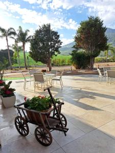 Φωτογραφία από το άλμπουμ του מלון המושבה כפר תבור σε Kefar Tavor +68 φωτογραφίες