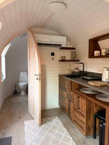 a kitchen with a sink and a toilet in a room at Pedaspä Igloo House and Sauna in Pedaspea