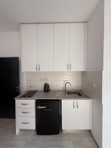 Η κουζίνα ή μικρή κουζίνα στο Cozy Getaway in Central Lefkoa +5 φωτογραφίες