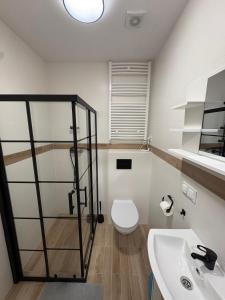 een badkamer met toilet en wastafel bij Apartament pod wieżą in Głogów