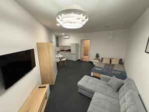 een woonkamer met een bank, een bed en een televisie bij Apartament pod wieżą in Głogów