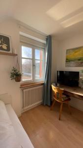 Μια τηλεόραση ή/και κέντρο ψυχαγωγίας στο Hotel & Restaurant Grüner Baum Merzhausen +102 φωτογραφίες