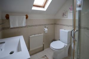 een badkamer met toilet en wastafel bij Halyon Village in Greencastle +29 foto's