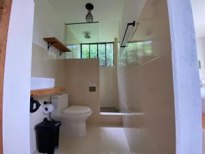 a bathroom with a toilet and a mirror at Coral Tree Lodge Tena in Tena