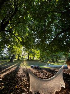 Φωτογραφία από το άλμπουμ του Casa Portale σε Ronciglione