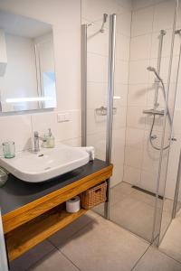 上陶恩Dorfplatzl Loft的带水槽和淋浴的浴室