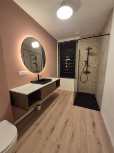 ein Badezimmer mit Toilette, Waschbecken und Spiegel in der Unterkunft Spacious 5-room house near Brussels with private parking in Steenokkerzeel + 15 Fotos