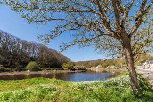 Φυσικό τοπίο κοντά σε αυτό το διαμέρισμα +16 φωτογραφίες