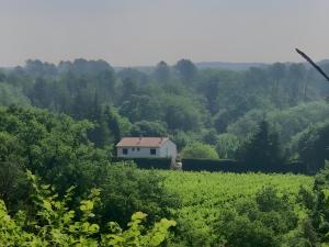 巴尔雅克Chez Nana - Maison dans le Gard的田野中间的白色房子