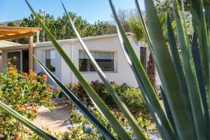 Zahrada ubytování Casa Muela - Holiday house, perfect for two!