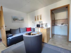 恩丁根Ferienwohnung Linde的带蓝色沙发的客厅和厨房