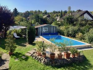 恩丁根Ferienwohnung Linde的后院设有游泳池和盆栽植物