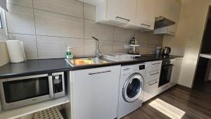 eine Küche mit Spüle und Waschmaschine in der Unterkunft STAY Vintage Central Suite in Nikosia + 41 Fotos