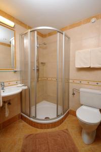 Un baño con ducha, inodoro y lavabo. en Jagdhaus, en Mayrhofen