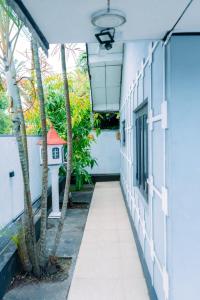 ターラ・サウにあるDimora Talallaのヤシの木と家のある建物の廊下