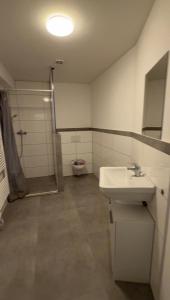 Reichenbach an der FilsApartment Seestraße 1 Zimmer mit Küche und Bad的带水槽和马桶的浴室