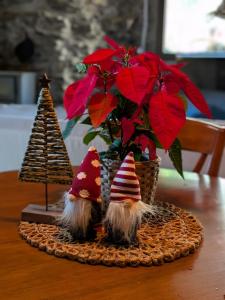 a table with two hats and a vase with flowers at El Carpintero in Trevélez