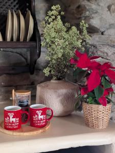 two red coffee mugs and a vase with flowers on a table at El Carpintero in Trevélez