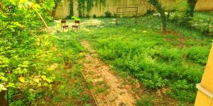 two chairs sitting in the middle of a yard at Stylish Homes Downtown Buda in Budapest