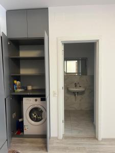un bagno con lavatrice e lavandino di Ella apartment a Timişoara