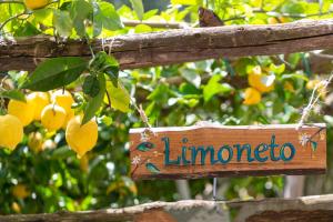 a wooden sign hanging from a lemon tree at Hotel La Pergola in Amalfi
