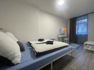 a bedroom with a bed and a large window at KuschLnest Schneeberg in Schneeberg