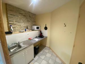 瑟堡Appartement cosy à Cherbourg-en-Cotentin, 20 m² avec confort.的带水槽和微波炉的小厨房