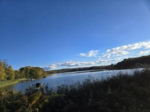 a river with a boat in the middle of it at Apartmenthaus-Usedom Kajüte 7 in Kolpinsee