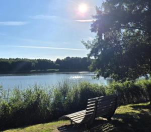 a park bench sitting in front of a lake at Apartmenthaus-Usedom Kajüte 7 in Kolpinsee +10 photos