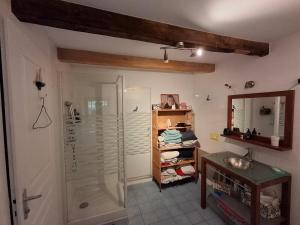 a bathroom with a shower and a sink at Chambres d'hôtes des Deux Lacs in Ceyzérieu +23 photos