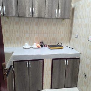 Kuchyň nebo kuchyňský kout v ubytování The cozy apartments