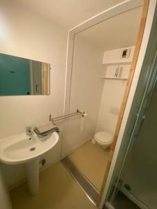 Koupelna v ubytování Charmant studio à Cherbourg-en-Cotentin, 15 m²