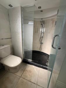 een badkamer met een douche, een toilet en een wastafel bij Private villa in Sheikh Zayed +33 foto's