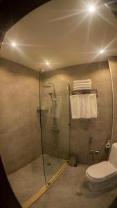a bathroom with a shower and a toilet at TM Apart Hotel in Tbilisi City