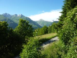 Naturlandskabet i nærheden af feriehuset