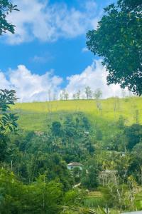 Φυσικό τοπίο κοντά σε αυτός ο ξενώνας