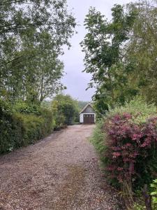 Příroda nedaleko prázdninového domu + 35 fotografií