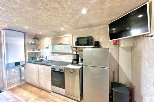 eine Küche mit einem Kühlschrank aus Edelstahl und einem TV in der Unterkunft Les 1000 Ailes-Expérience Unique dans une Hutte in Le Crotoy