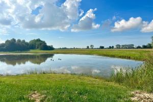 a pond in a field with two ducks in the water at Les 1000 Ailes-Expérience Unique dans une Hutte in Le Crotoy +15 photos