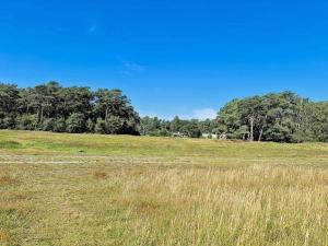 a field of grass with trees in the background at 12 person holiday home in Egå-By Traum in Åstrup