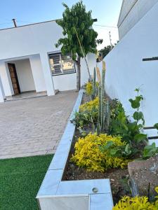 Billede fra billedgalleriet på Rhino Guest House i Tsumeb