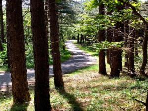 Φυσικό τοπίο κοντά σε αυτό το διαμέρισμα +29 φωτογραφίες