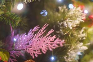 Φωτογραφία από το άλμπουμ του Easy Reach σε Ambleside